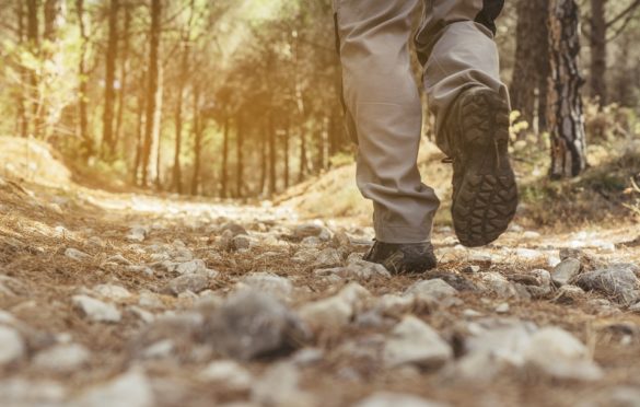 7 Glorious Hiking Trials In Colorado You Must Try