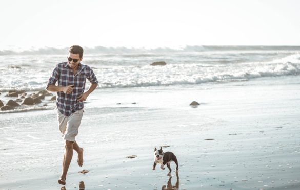 10 Perfect Pet-Friendly Vacation Spots Across America