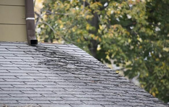 5 Common Causes Of Roof Leaks – How To Identify & Fix Them