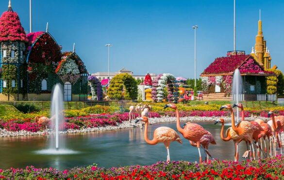 10 Best Things To Do In Dubai For Couples
