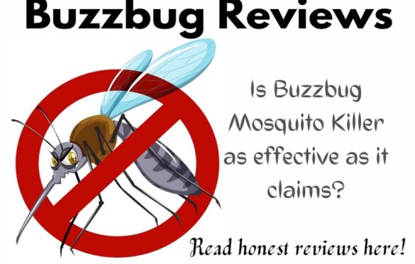 buzzbug reviews