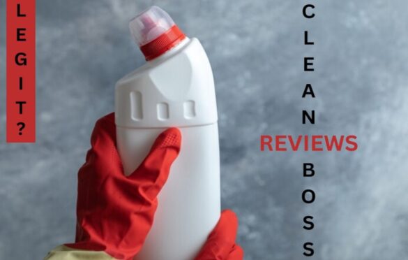 clean boss reviews