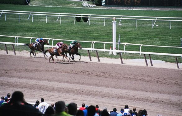 Horse Racing On TV: What Big Races To Watch In 2024?
