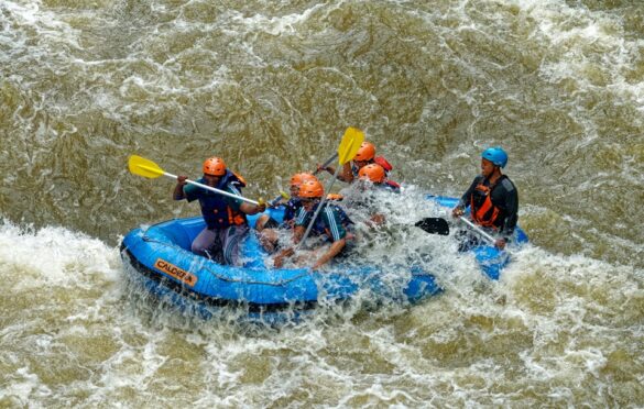 5 Must-Try Summer Activities For People Who Love The Water