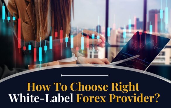 Choosing The Right White Label Broker: Tips For New Entrepreneurs