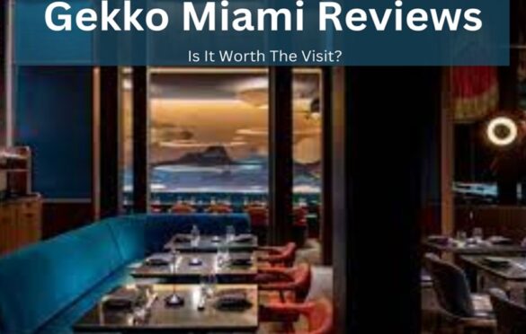 Gekko Miami Reviews: Is It Worth The Visit?