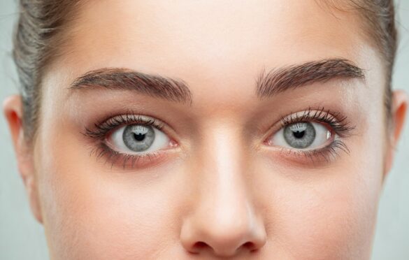 Effective Blepharitis Treatments & Where To Find Them