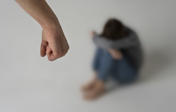 Domestic Violence Conviction
