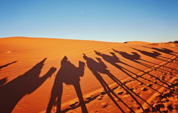 Family Fun In Dubai Sand: Tips For Enjoying Dubai Desert Safaris With Kids