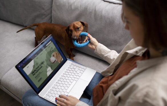 Purr-Fectly Tech: Innovations Revolutionizing Pet Care