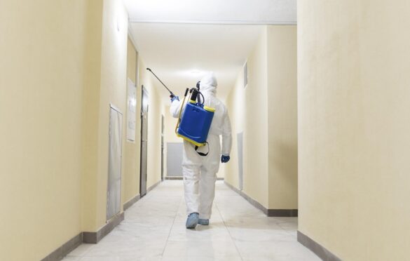Maintaining A Pest-Free Space