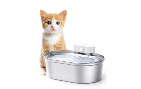 Unveiling The Health Benefits Of Stainless Steel Cat Water Fountains