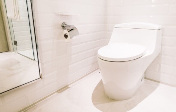 Saving Water? Get A Dual-Flush Toilet