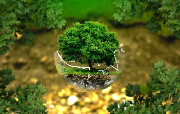 Exploring The Living World: An Introduction To IB Biology
