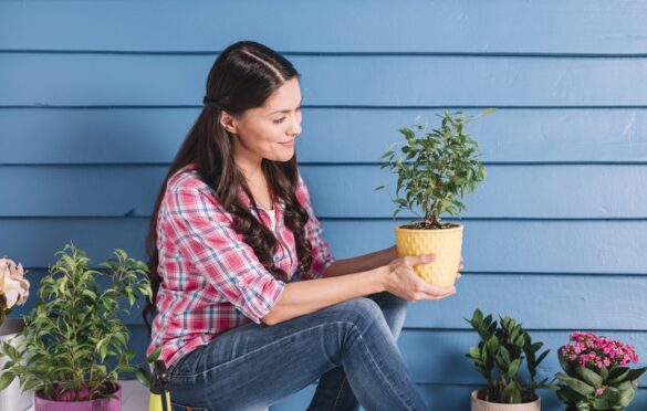 Launching An Online Garden Pot Shop May Not Be As Hard As You Think