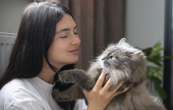 Keeping Your Cat In Good Health