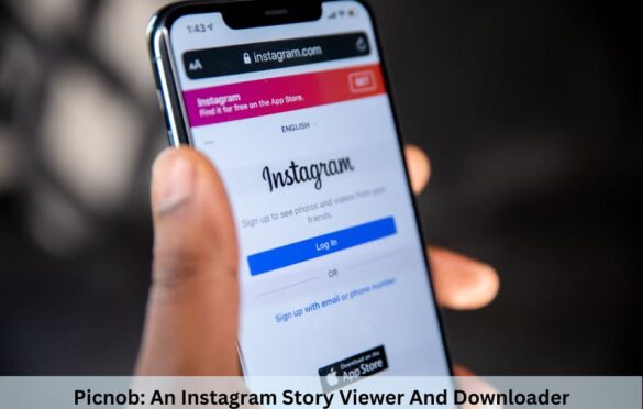 Picnob: An Instagram Story Viewer & Downloader