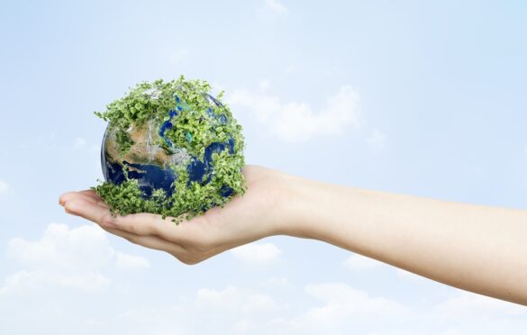 How Sustainable Energy Solutions Can Lead To A Greener Planet?