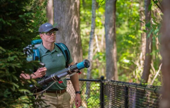 Creative Solutions For A Mosquito-Free Summer