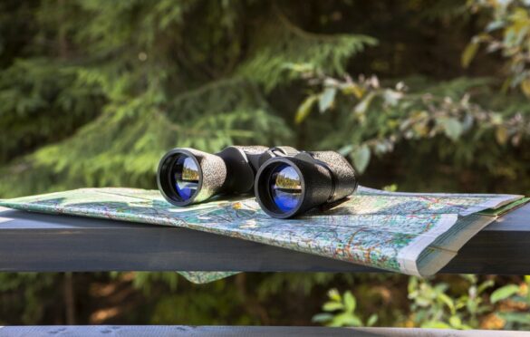 Online Shopping Dynamics For Telescopes & Binoculars