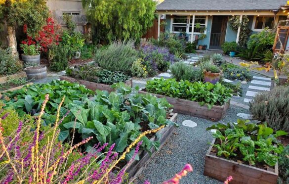 Five Things You’ll Be Glad You Knew Before You Start Your Mini Homestead