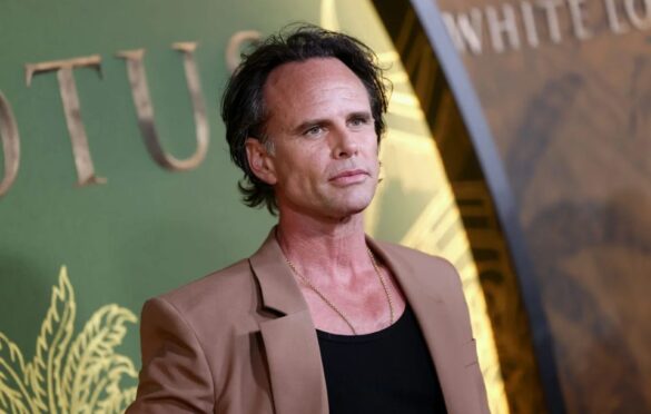 walton goggins