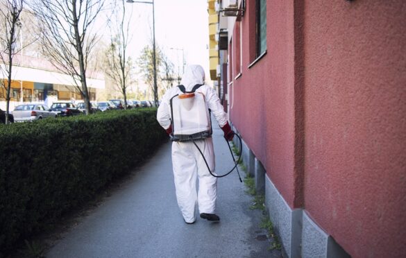 Comprehensive Termite Treatment Plans For Businesses