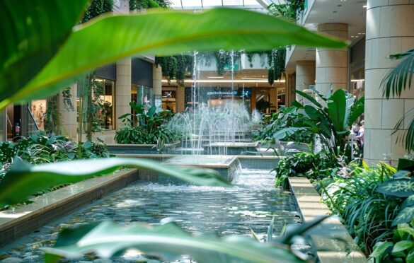 Water Management Strategies In Landscaping