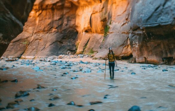 Top Hiking Safety Tips For Every Adventurer